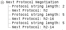 Protocoles HTTP/2 proposés par le serveur lors du server hello